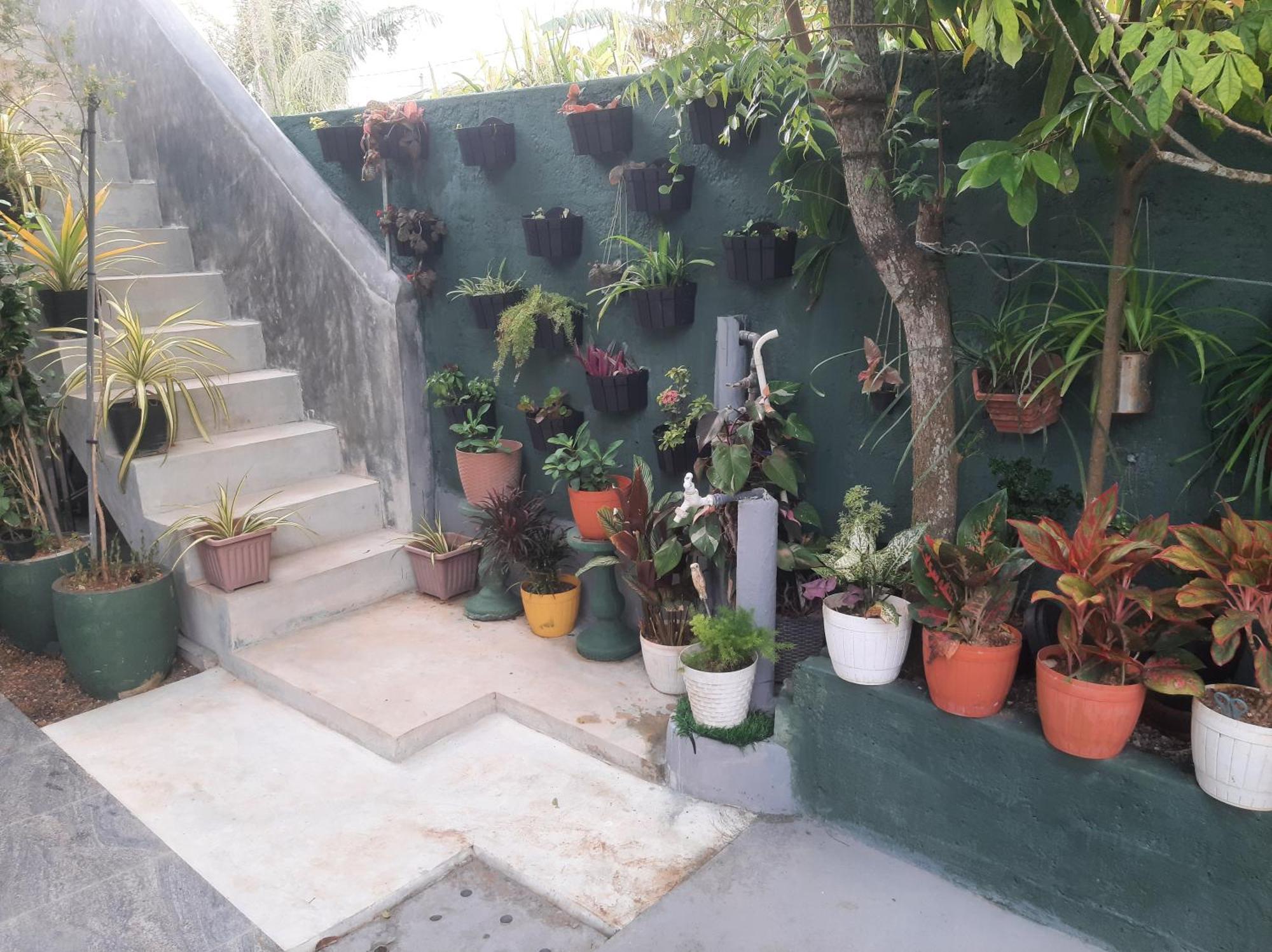 Weerakoon Garden Guest Hotel Хикадува Екстериор снимка